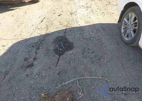 2024 Honda Civic Ex from USA, damaged, VIN 2HGFE1F72RH321988